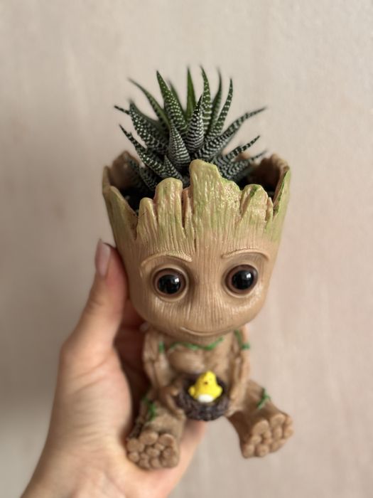 Комнатные растения интерьерные