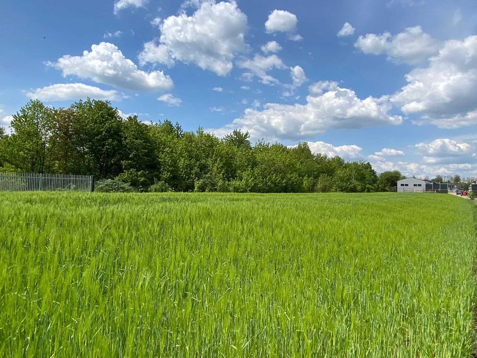 Teren de vanzare in Targu Neamt - intravilan