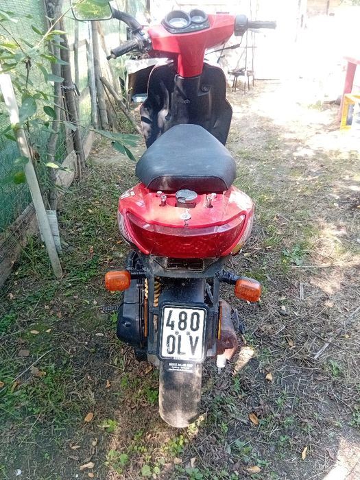 Scuter BEELINI.    .