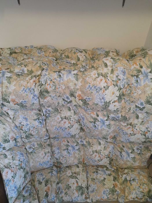 Pilote si perne (pana si puf)