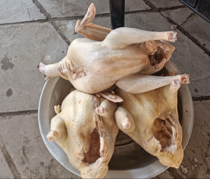 Индюк етіне заказ қабылдаймыз