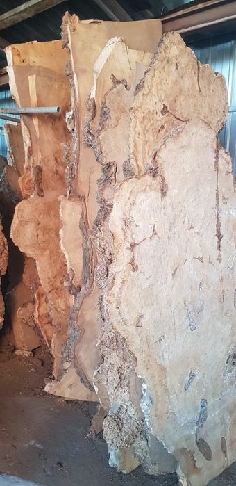 Слэбы каповые карагач