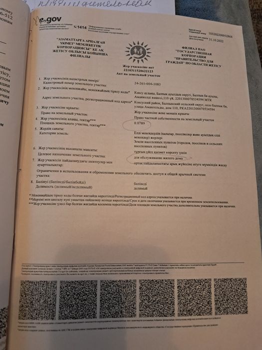 Продаётся дом в балпык би