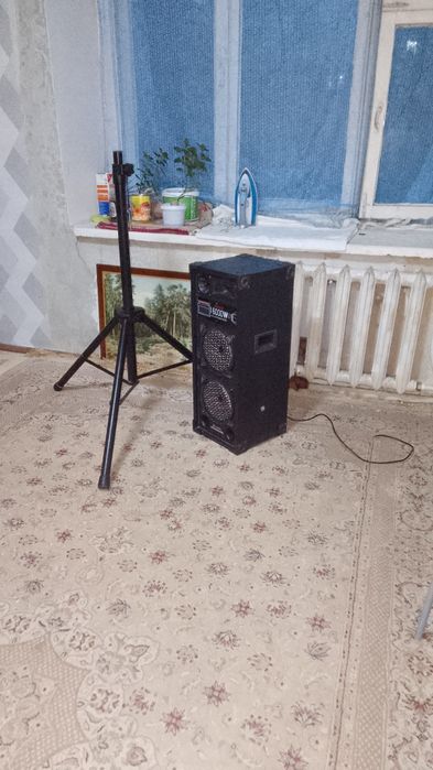 Колонка блютуз караоке