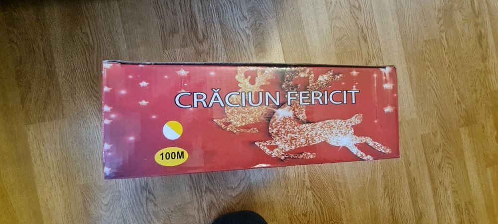 Instalatie pom de iarna Craciun