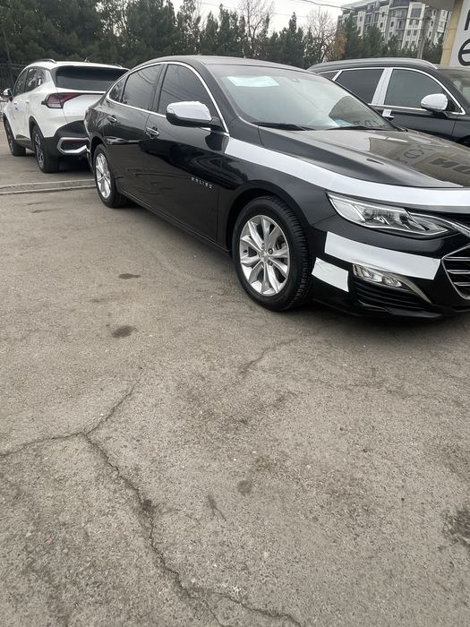 Malibu premier 2021