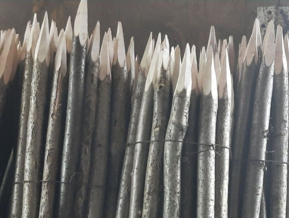 Pari pentru vie ,  rosii sau fasole  / Stâlpi gard electric / Araci