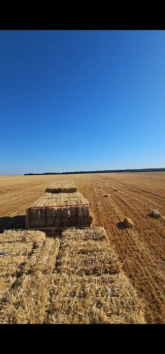 Vand baloti mici si rotunzi