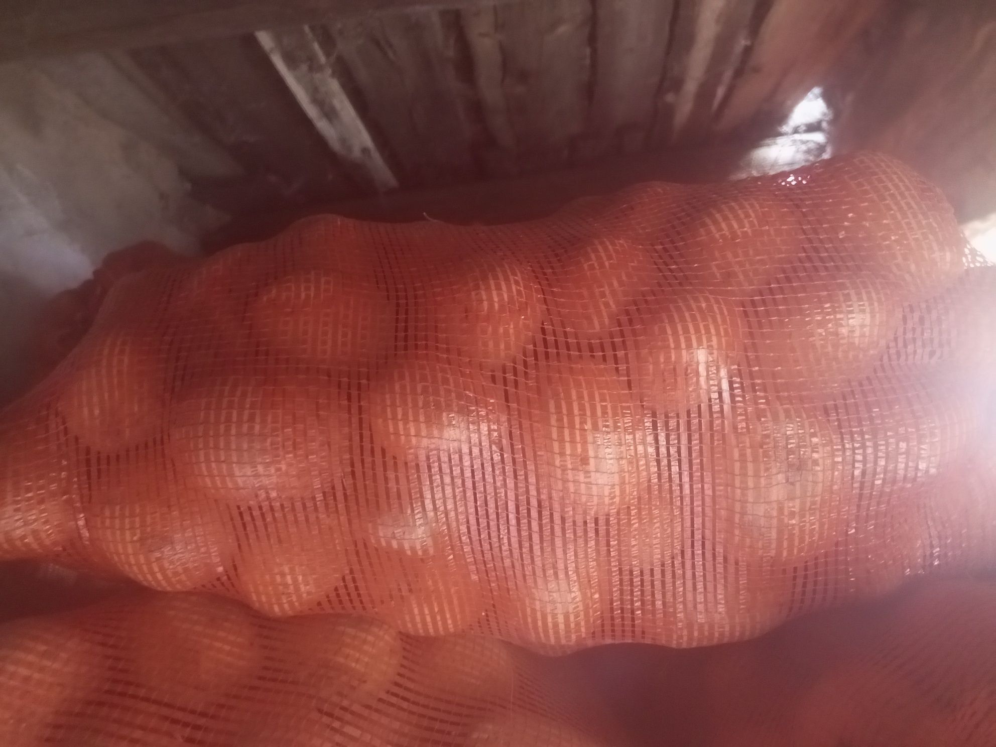 Продаётся картофель ГАЛА
