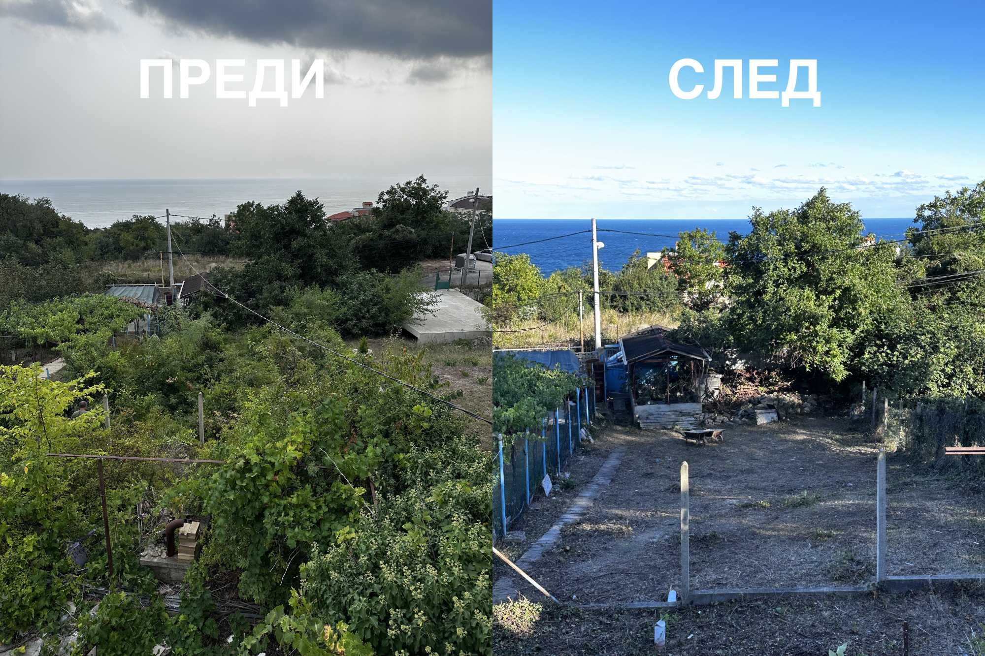 Почистване на Дворове и Парцели (Рязане на дървета)