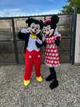 Mickey si minnie