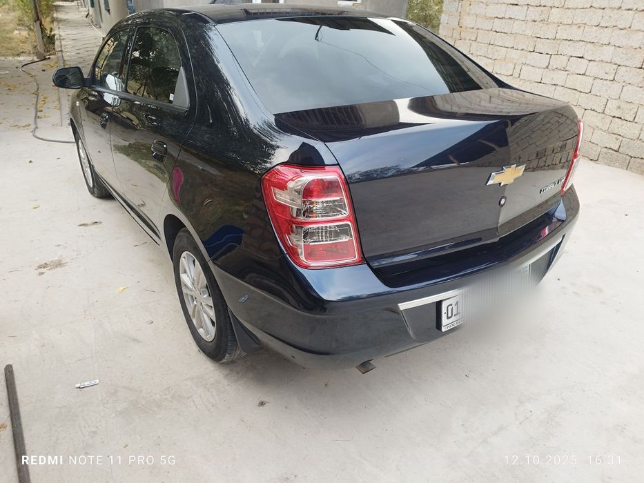 2023 краска тозза