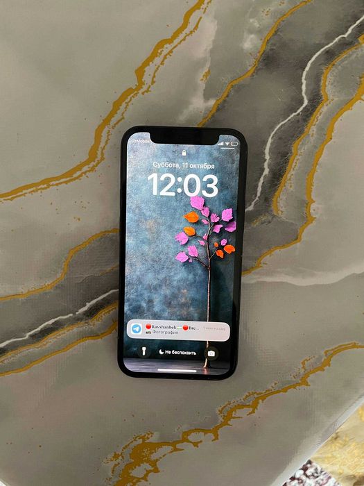 iPhone 12 mini Dark Blue 64GB