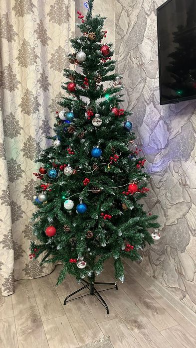 Ёлки Ёлка Шырша Доставка!!