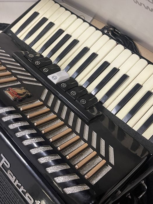 Acordeon Parrot 1309 BLACK -A-