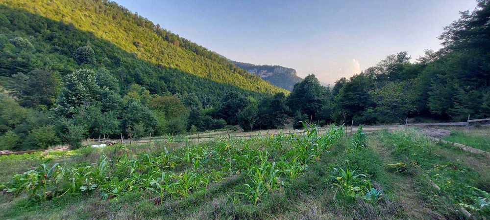 Продава се екологичен проект от 12 710 кв. м. с две нови дървени къщи.