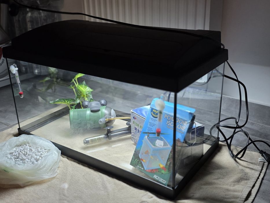Set complet acvariu 40l