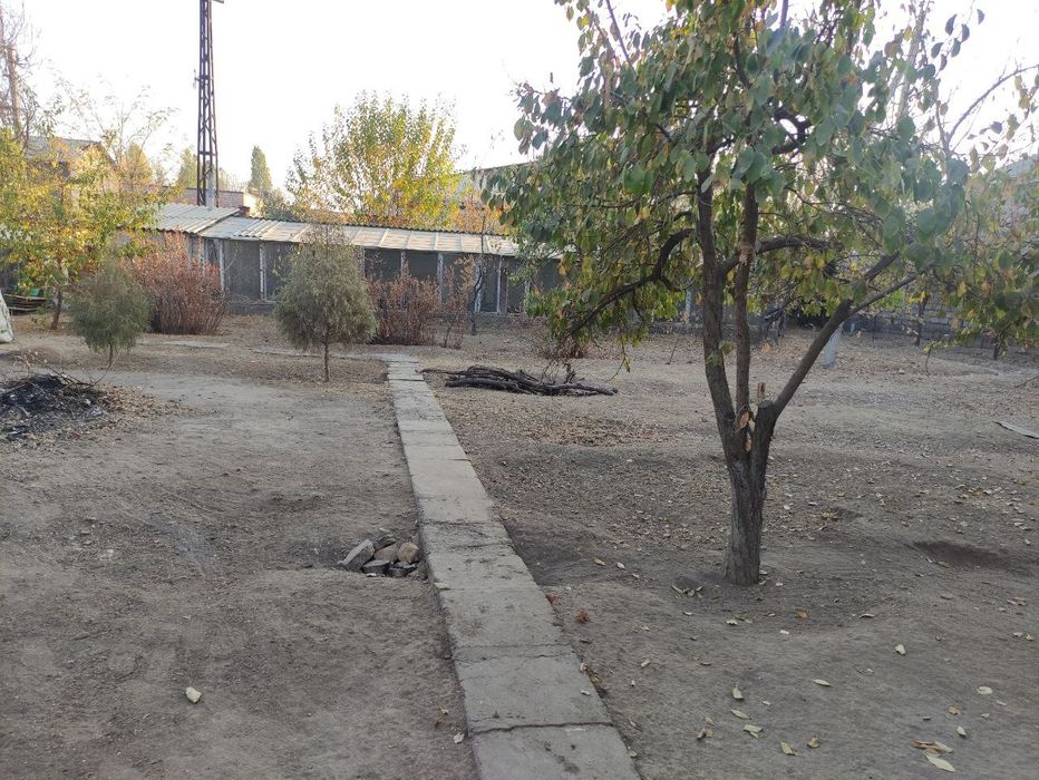 Yangi Oʻzbekiston bogʻiga yaqin joyda yer!