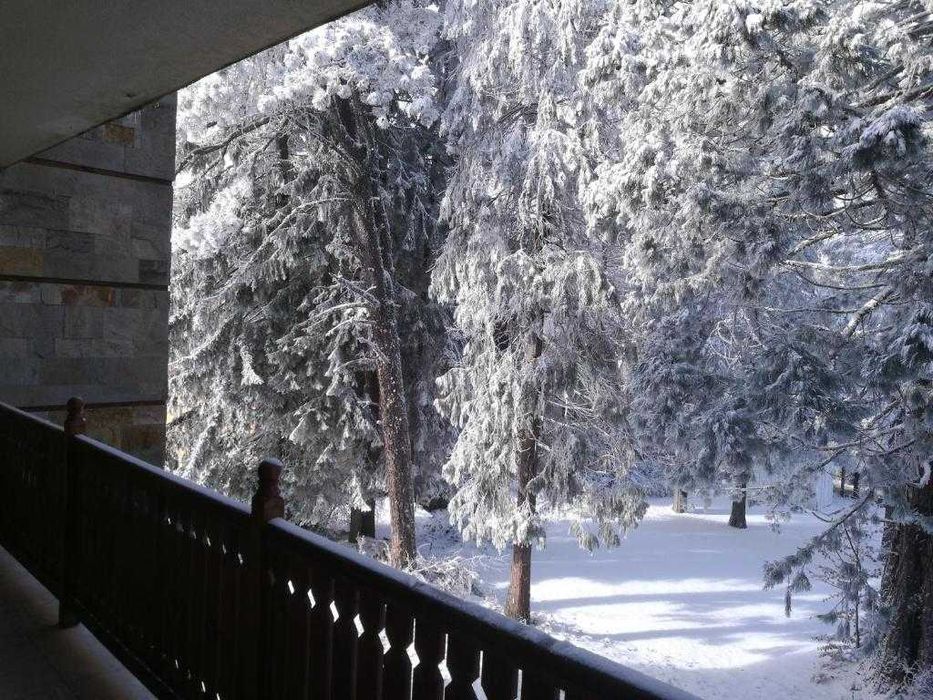 Луксозен апартамент под наем в к.к.Боровец