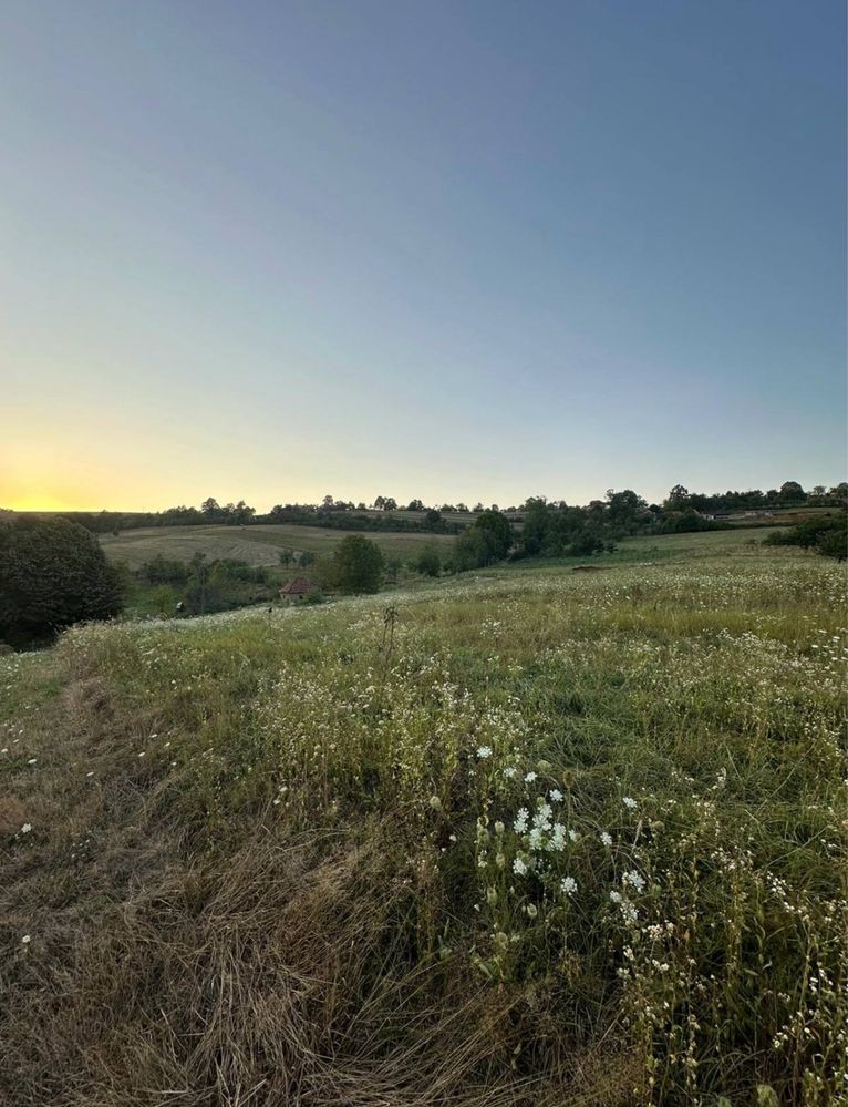 Teren intravilan de vanzare -9.150 mp in Călățea , com Astileu