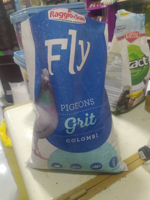 Каптарлар ва барча кушлар учун