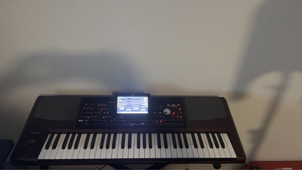 Korg PA1000.