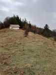 Продавам земеделска земя 3 декара с.Борово Кръстова гора