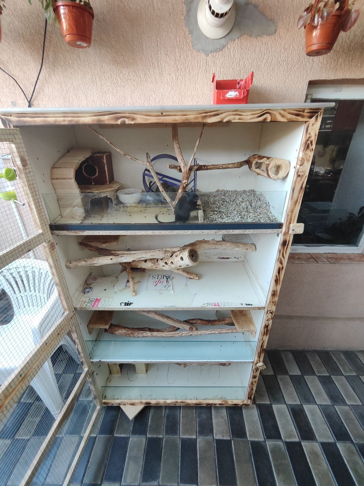 Cușca Penteu iepuri veverițe chinchile hamsteri papagali