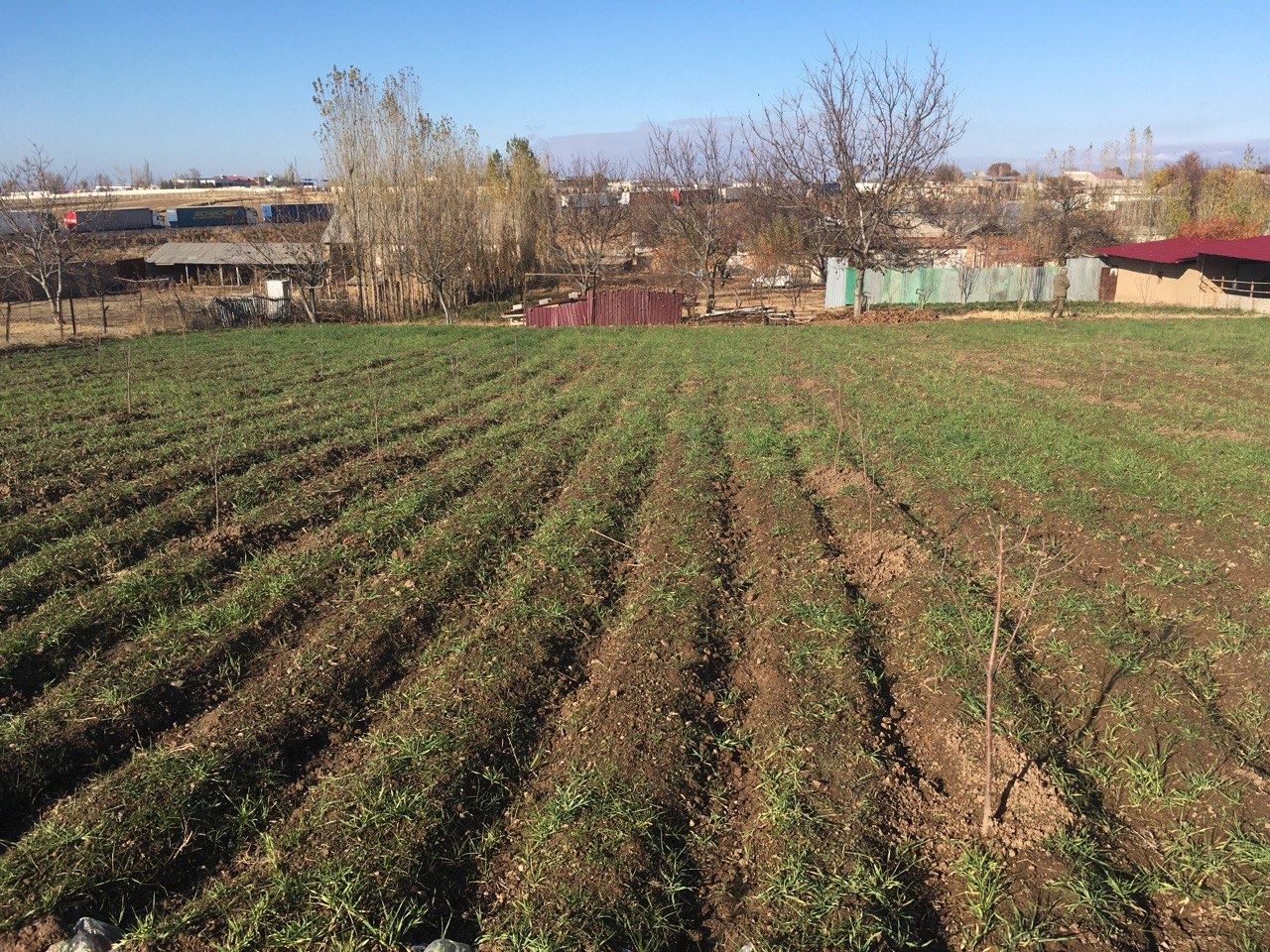 Продаётся земельный участок в Кибрайском р-не. ,,Туркистон"