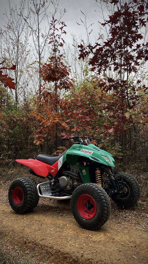 Атв Dinli QUADZILLA 450 кубика Castrol Edition