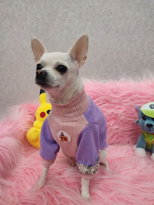 Продам одежду для животных.