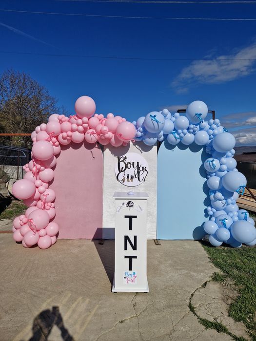 Arcada De Baloane De Inchiriat Gender Reveal Aripi De Inger