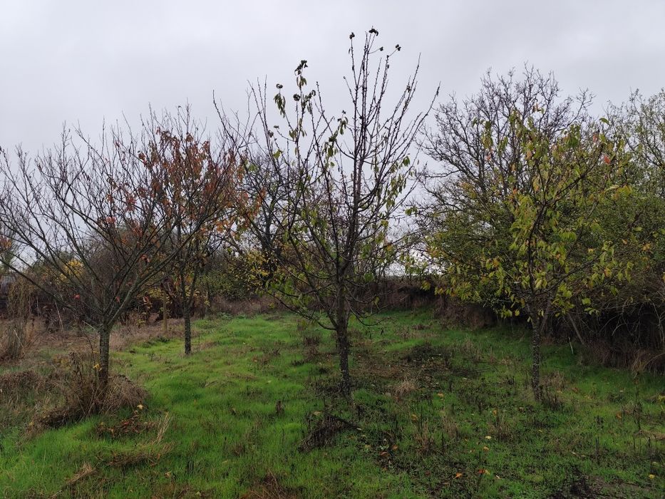 Продавам къща с дворно място в с.Есен,общ. Сунгурларе