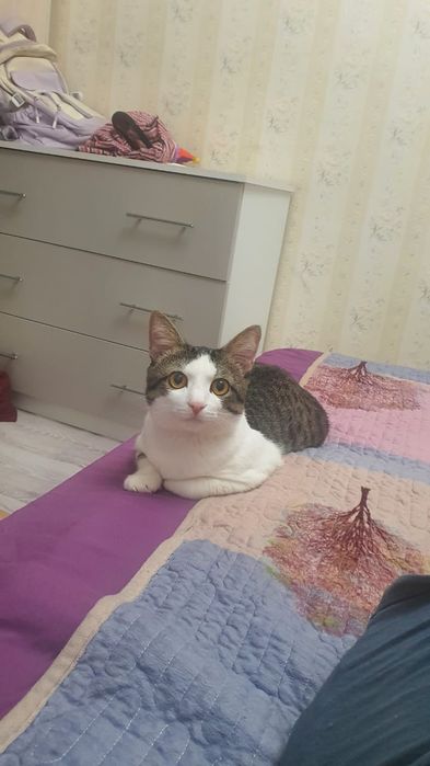 Отдам в хорошие руки