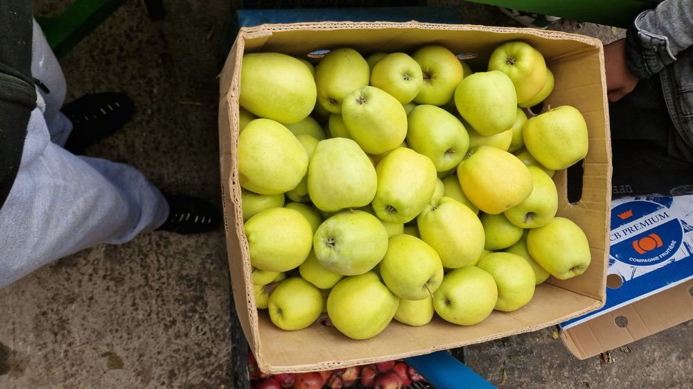 Vând  mere inport polonia orice cantitate  și orice soi. Prețul  2,5