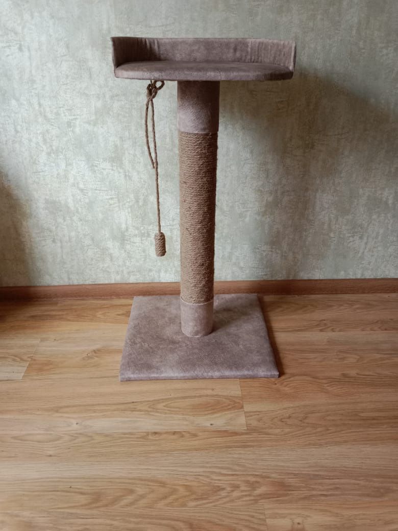 Когтеточка для кошки