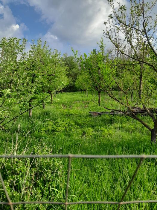 Casa de vânzare în Grebenisul de Câmpie