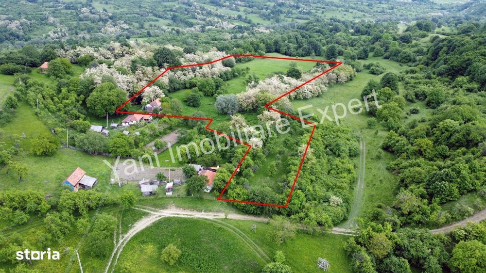 Teren de vânzare în comuna Tigveni, sat Blaju ( 34.600 mp )