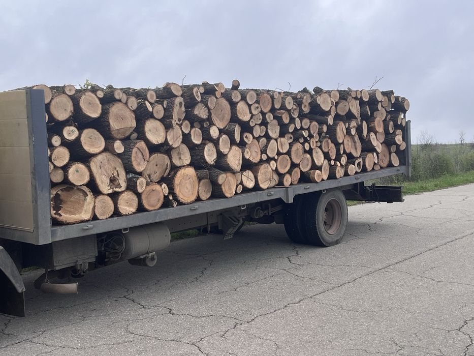 Дърва за огрев!