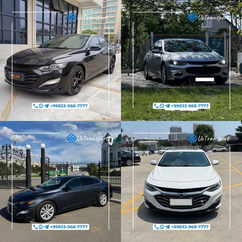 Персональные экскурсии с гидом и машиной Сопровождение авто с водителе