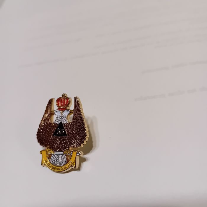 Insigna de mason noua