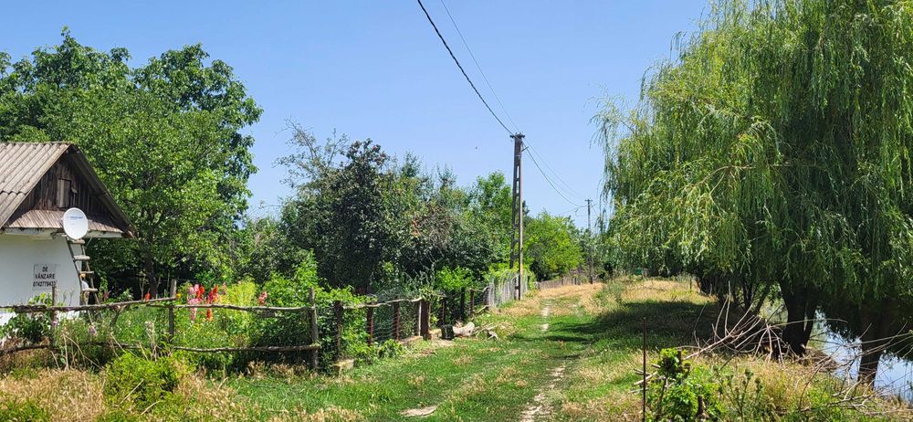 Delta Dunării, Băltenii de Jos, casă bătrânească, teren 1500mp