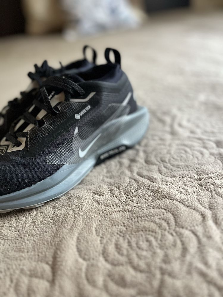 Nike Pegasios Gore tex