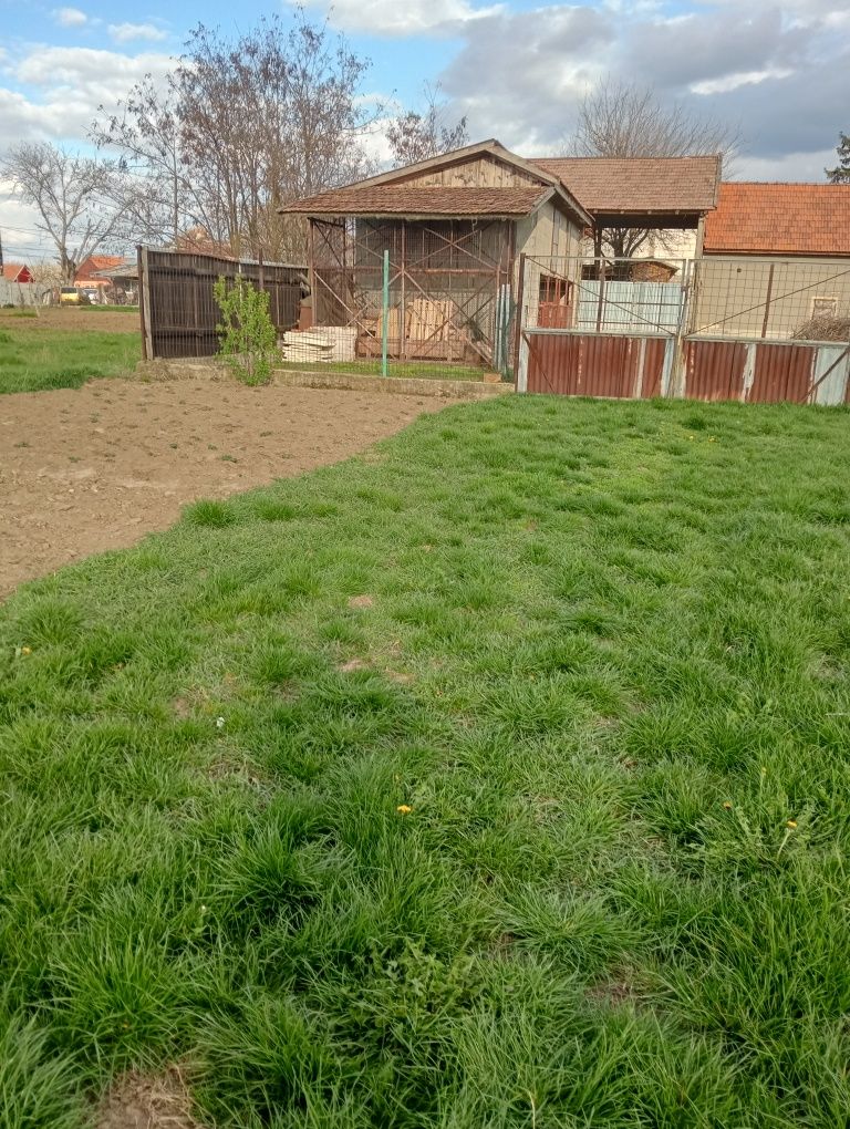 Vând casă familială în Biharia