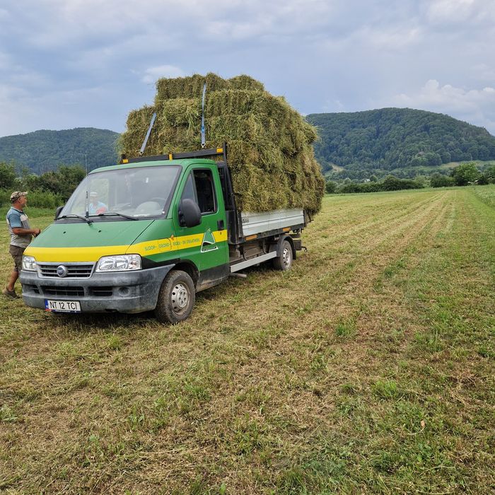 Baloti fân și lucerna