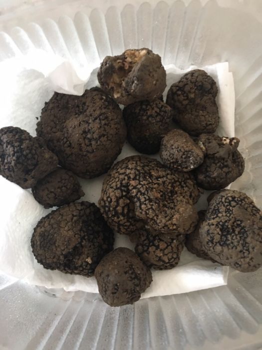 Trufe negre. proaspete,