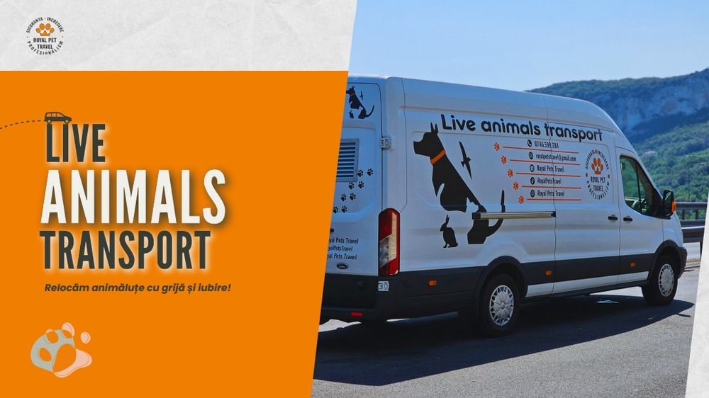Transport autorizat A.N.S.V.S.A animale de companie Romania-Portugalia