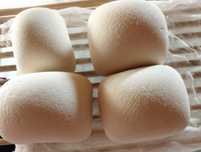 Produse lactate bio: Cas / Urda / Lapte Capra - Livrare la domiciliu