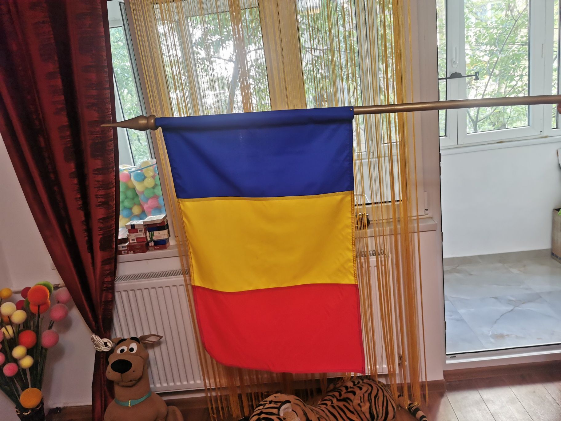 Steag România cu maner