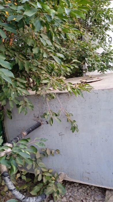 Бочка сатылады 3тонна